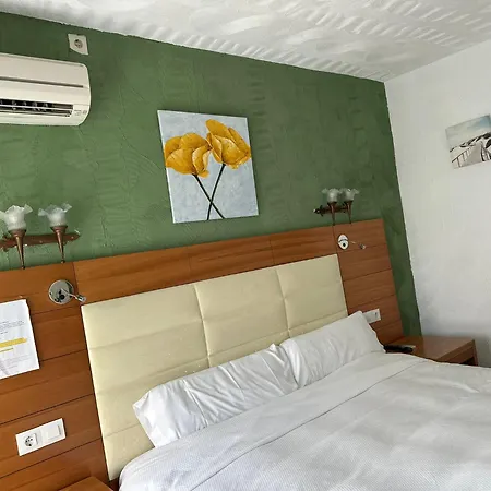 Hotel Nou Roser-2