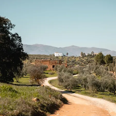 Finca Las Calmas Adults Only Boutique Retreat & Dining Experience-3