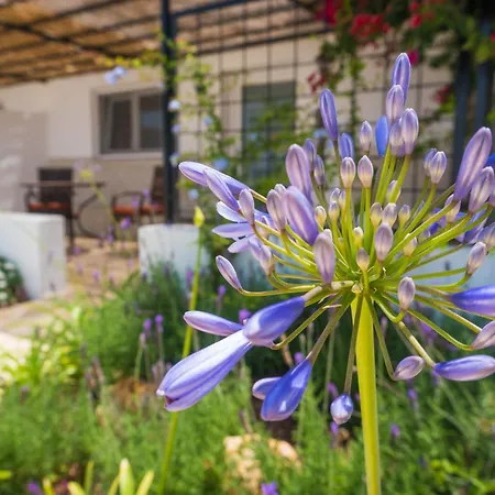 B&B Cortijo El Sarmiento - Adults Only-3