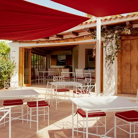 Petunia Ibiza, A Beaumier Hotel (Adults Only)-3