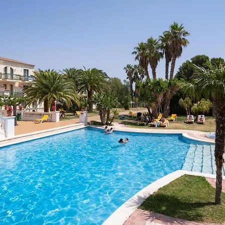 Alegria Pino Alto-3