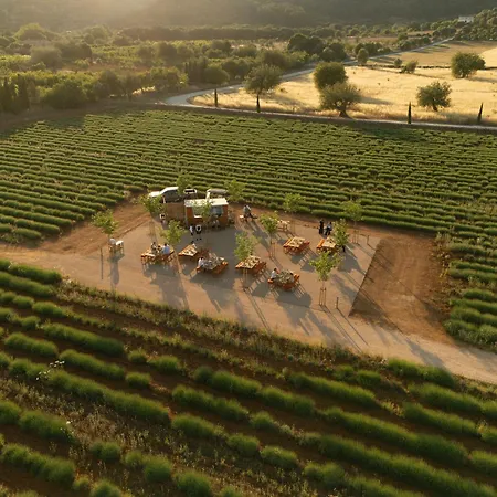 The Lodge Mallorca, Small Luxury Hotels-2