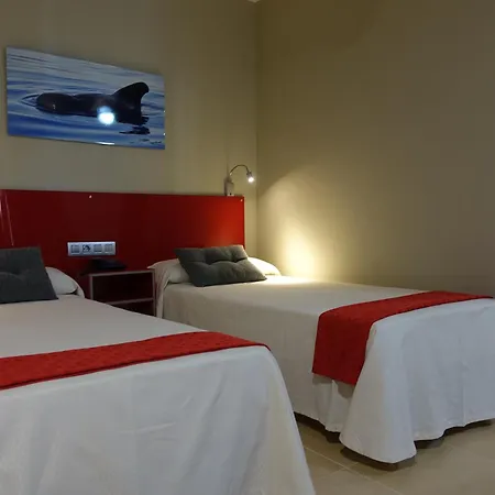 Hotel Andrea'S-2