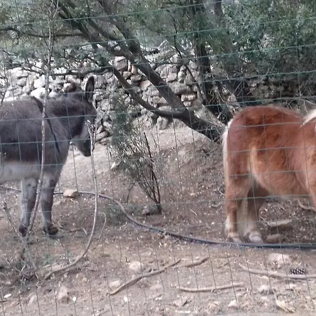 El Mangranar-2
