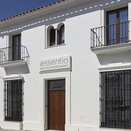 Hotel Galería Essentia-2
