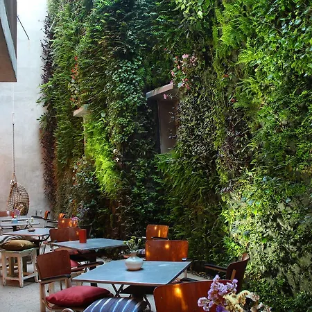 Kook Hotel Tarifa-3