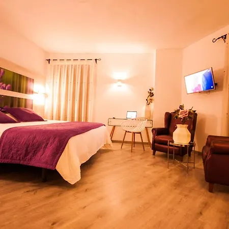 Hotel Hc Zoom-3