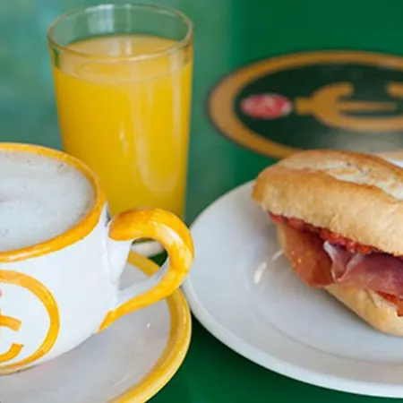 Hostal Catedritos Ibéricos A-5 Km 154 A 5 KM DE OROPESA A 1 KM DE HERRERUELA DE OROPESA-2