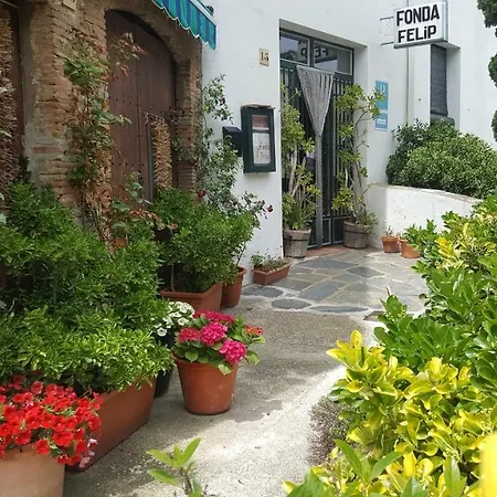 Fonda Felip-3