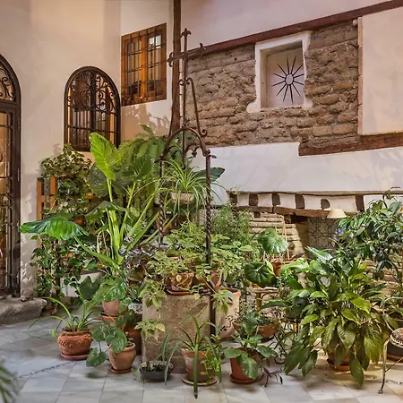 Casa Palacio Rincón de la Catedral-2