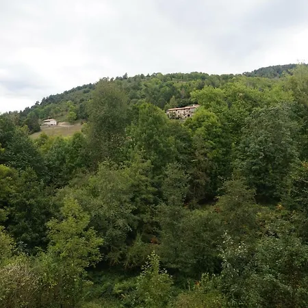 Hotel Els Avets De Camprodon-3
