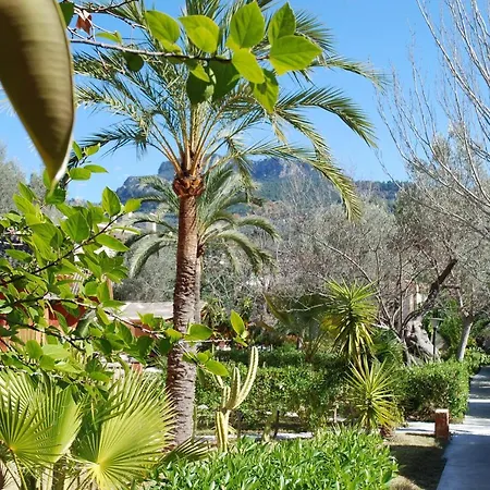 Soller Garden-2