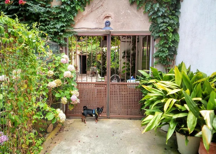 Marakasa B&B