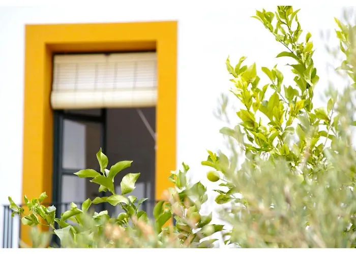 Hotel Andalou Montellano