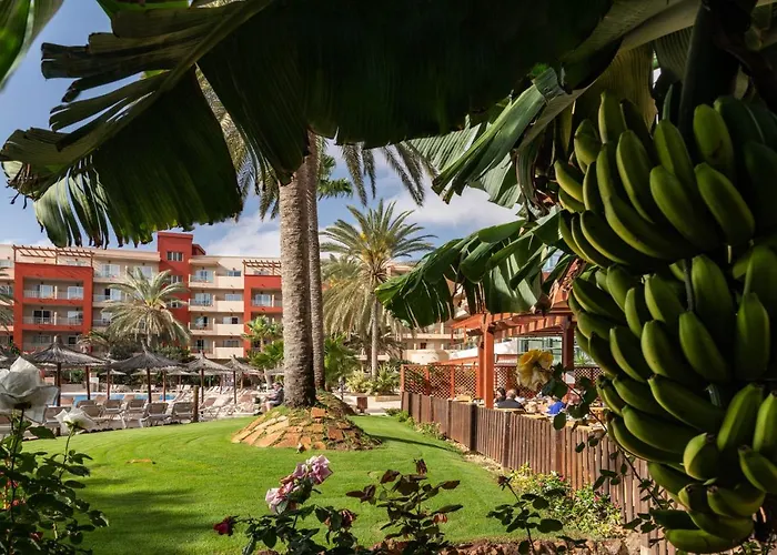Elba Carlota Beach & Golf Resort Caleta de Fuste