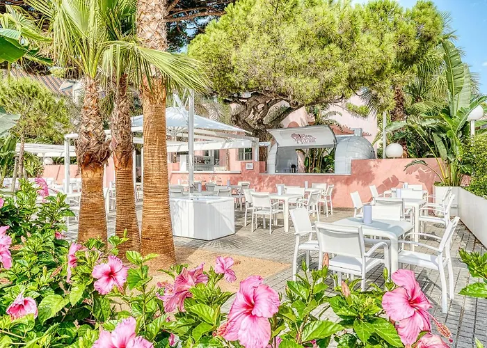 The Pink Elephant Hotel