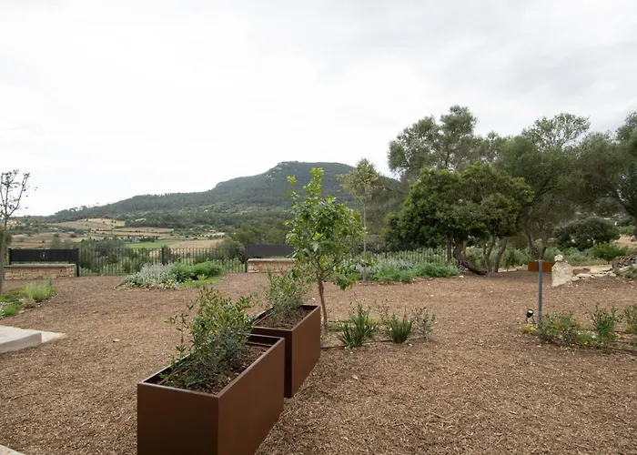 Fincahotel Treurer - Olive Grove & Grand House - Adults Only
