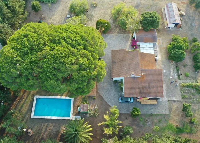 Casa Del Buho
