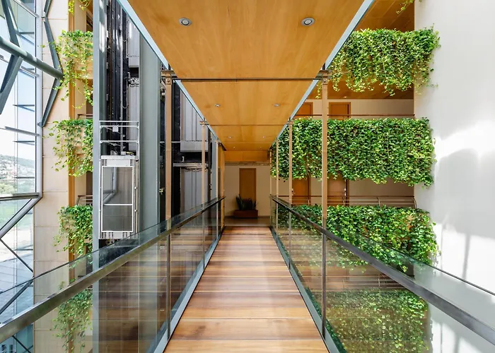 Alegria Caprici Verd 4 Sup Santa Susanna