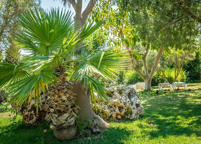 Hotel Club Cala Romani Calas de Mallorca