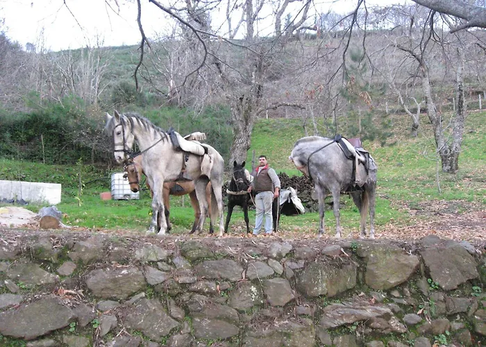La Posada del Recovero Genalguacil