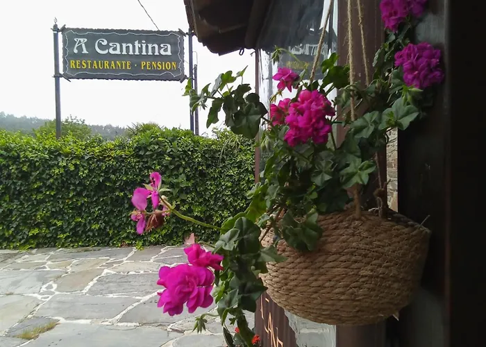 A Cantina