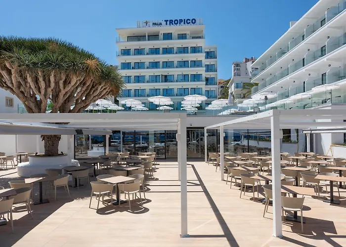 Hotel Palia Tropico Playa Palma Nova 