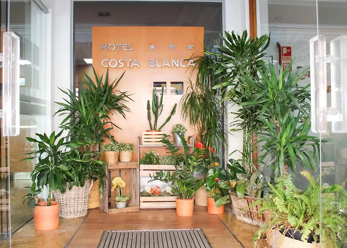 Hotel Mr Costa Blanca Denia