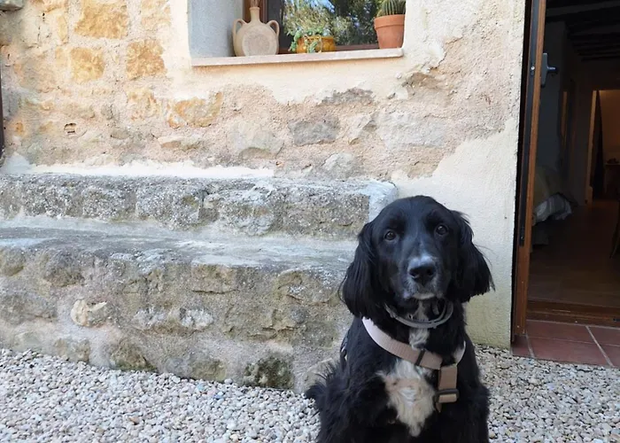 Hostal Blavet Calaceite