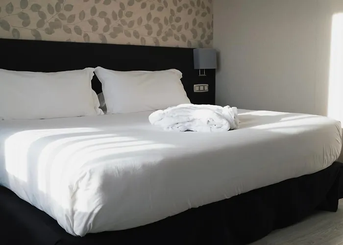 Hotel Plaza Las Matas Las Rozas de Madrid