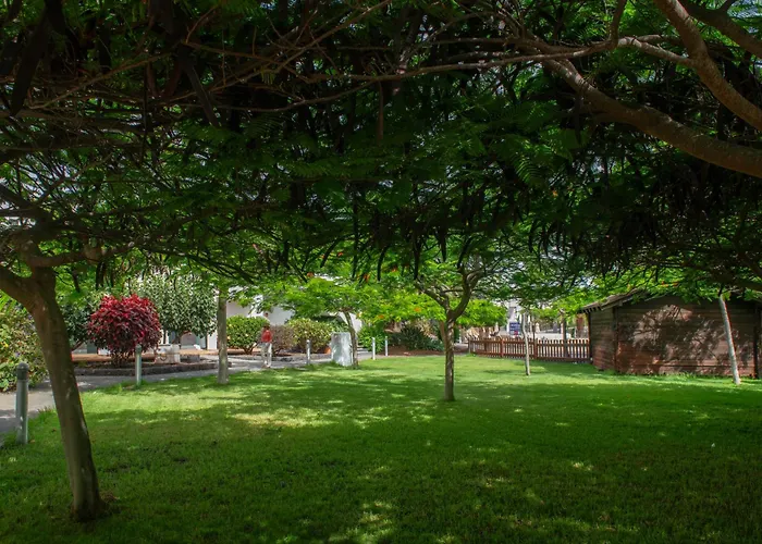 Las Marismas De Corralejo