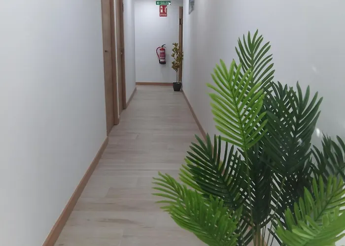 Hostal el Olivo Mora