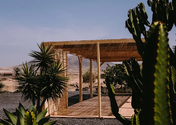Surf & Yoga Retreats Fuerteventura