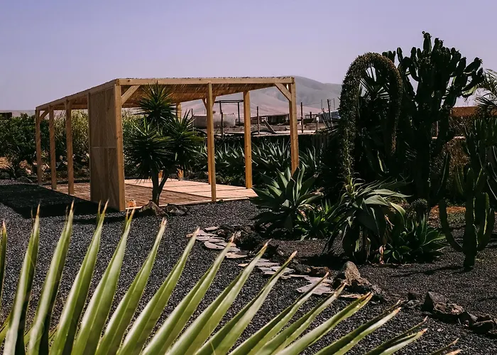 Surf & Yoga Retreats Fuerteventura