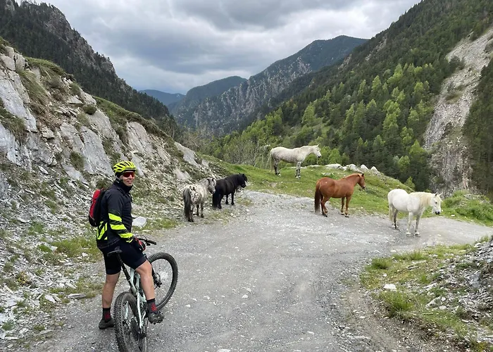 Hotel Valls Valira