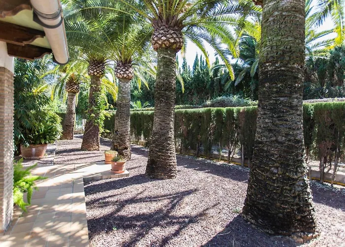 B&B Finca Pepe Denia