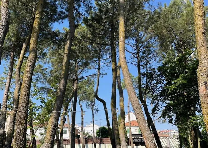 Hotel Casa Jardín El Colmenar Las Navas del Marqués