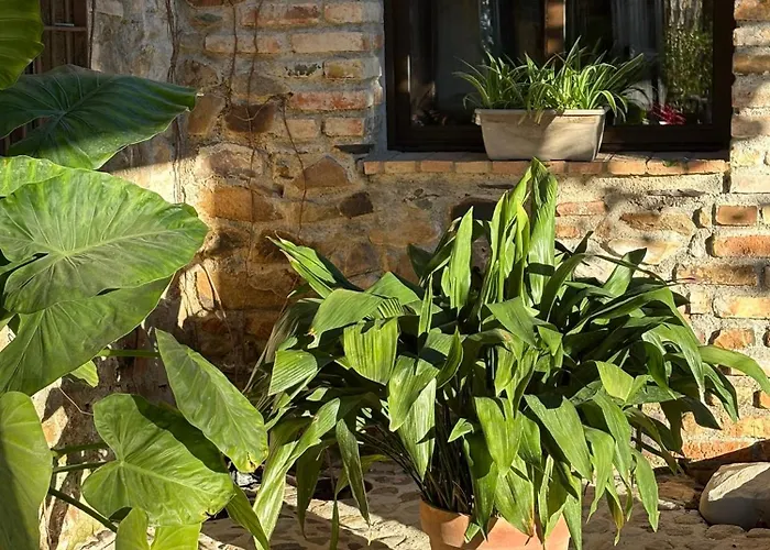 Finca Los Caleros Juan Gallegos