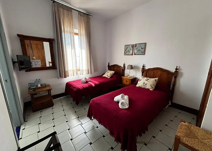 Hotel Entreolivos