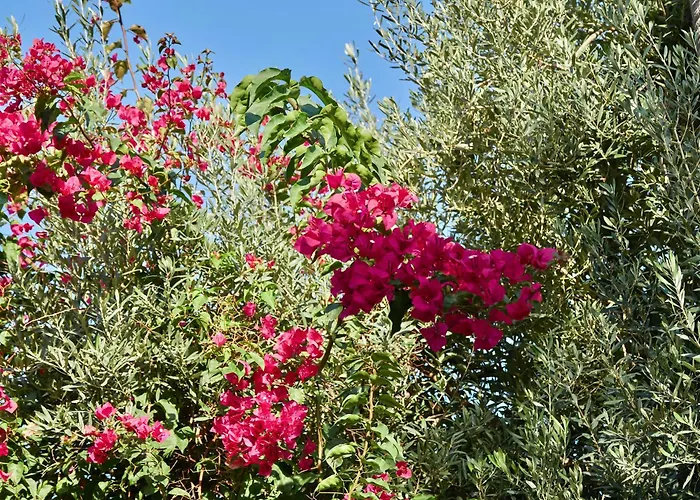 Hotel Son Sant Jordi Pollença