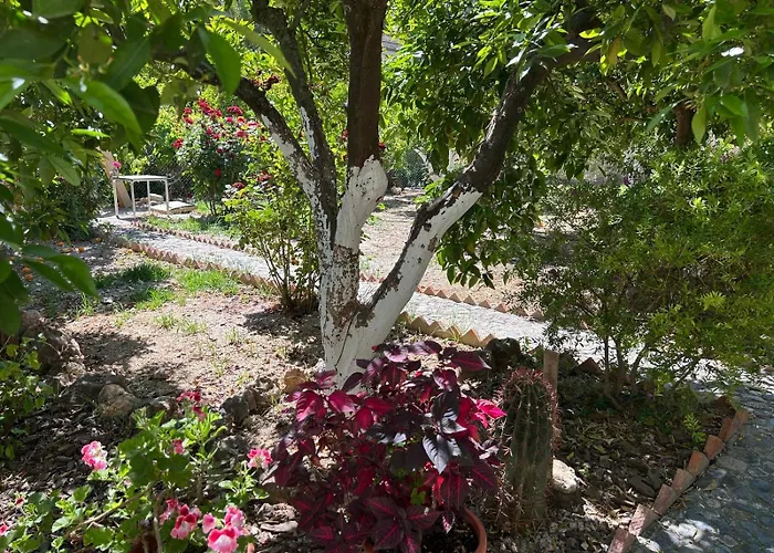 La Despensa Del Valle