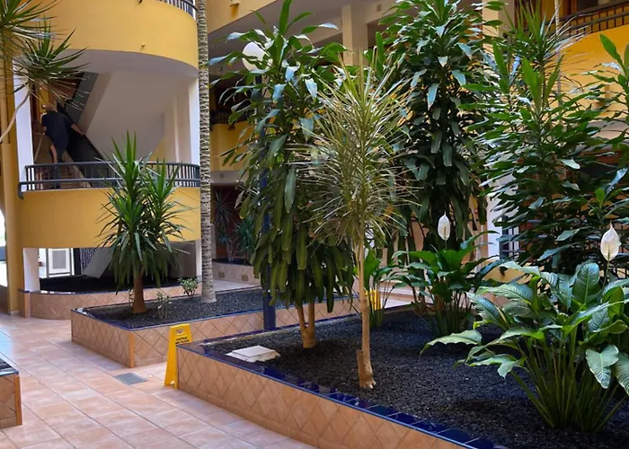 Apartamentos Colon2 Playa de las Americas 