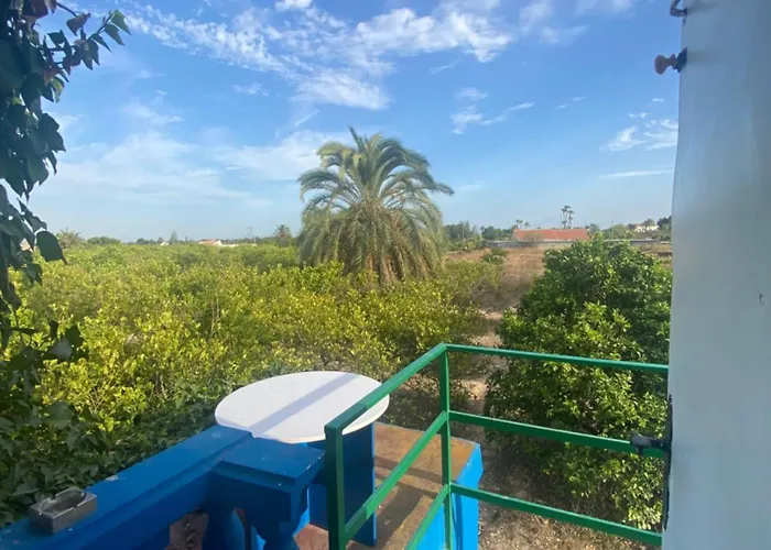 Bed and Breakfast Pink Lemon House Elche