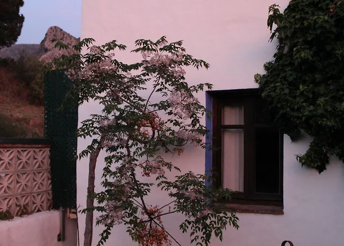 Hotel Rural Los Jarales Istan