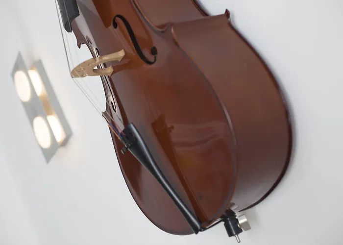 Casual De La Música