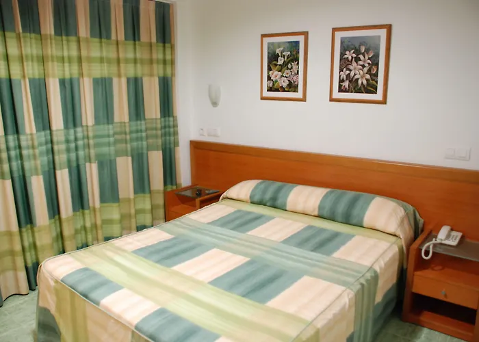 Hotel Mavi Gandía