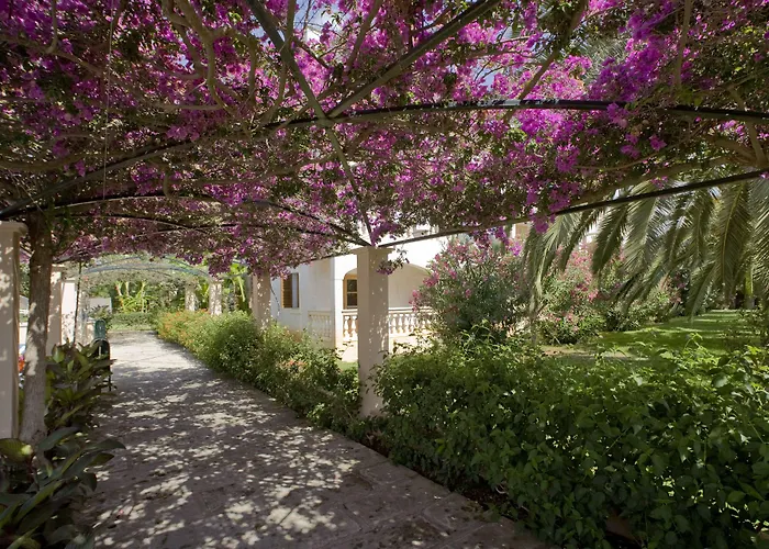 Aparthotel Globales Isabel à Cala Bona 