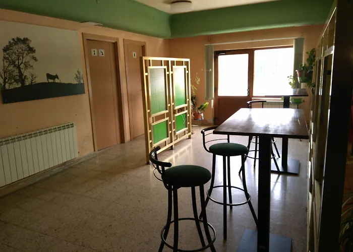 El Delfín Verde