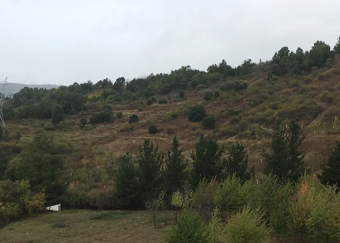 Nruta Ponferrada