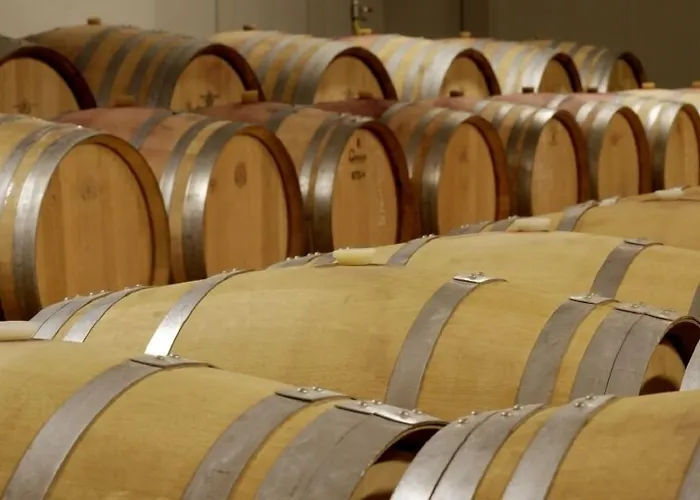 Buil & Gine Wine Hotel Gratallops